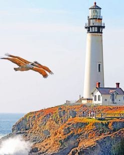 Pigeon Point Lighthouse paint by numbers