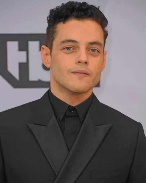 Rami Malek paint by numbers