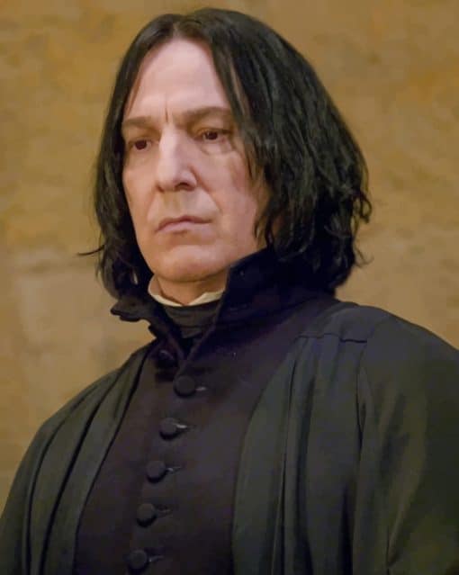 Severus Snape paint by numbers