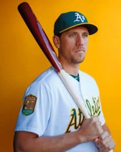 Stephen Piscotty paint by numbers