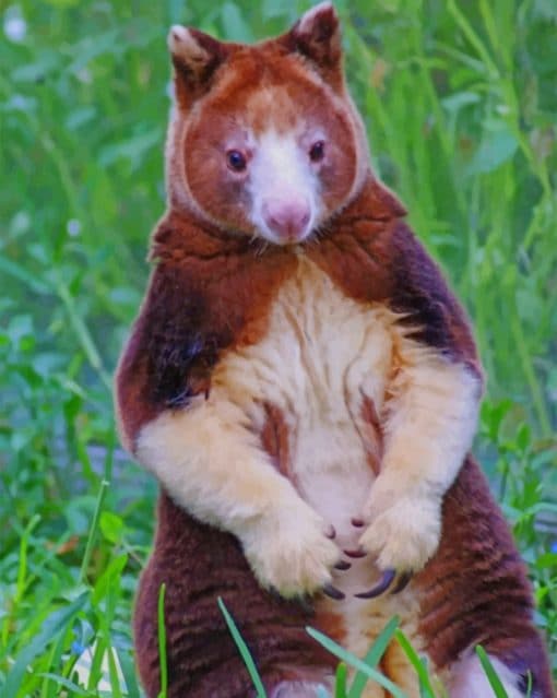 Tree kangaroo paint by numbers