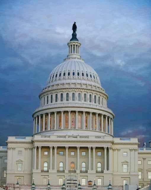 United States Capitol paint by numbers