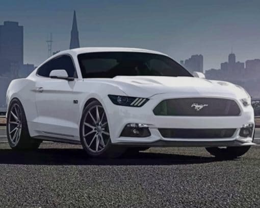 White Mustang Car paint by numbers