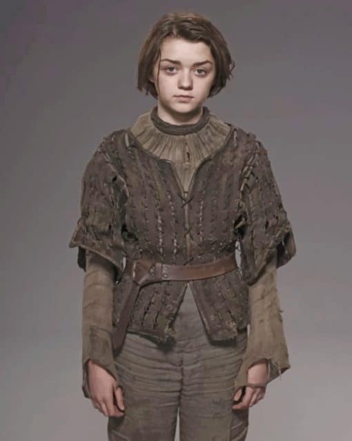 Arya Stark paint by numbers