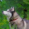 Beautiful Siberian Husky paint by number