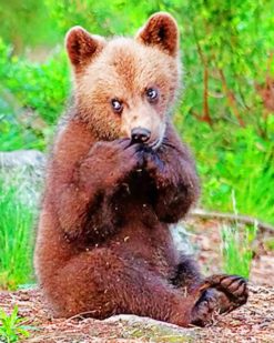 Brown Bear Cub paint by numbers