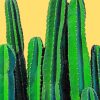 Cactus Plants paint by numbers