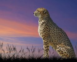 Cheetah Wildlife Paint by number