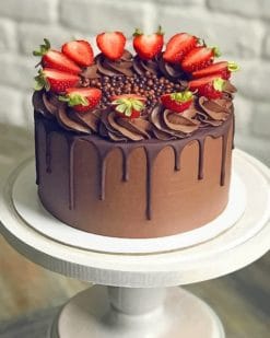 Chocolate Cake With Strawberries painnt by numbers