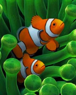 Clownfish paint by numbers