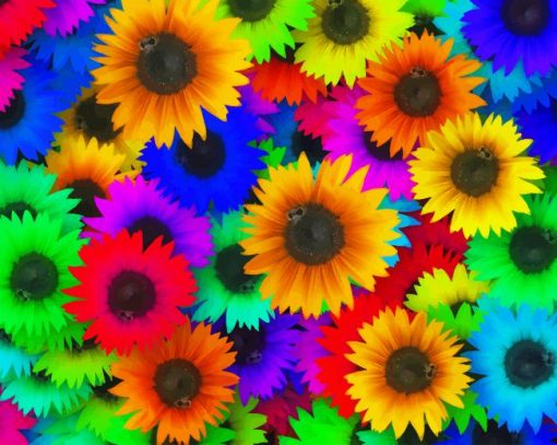 Colorful Sunflowers paint by number