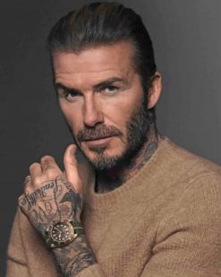 David Beckham Tattoos paint by number