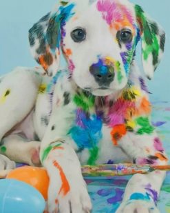 Colorful Dalmatian paint by numbers