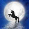 Full Moon Unicorn Silhouette paint by number