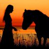 Girl With Her Horse Silhouette paint by numbers