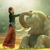 Girl With Elephant paint by number