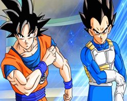 Goku And Vegeta paint by numbers