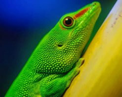 Green Lizard paint by number