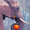 Halloween Elephant paint by numbers