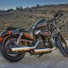 Harley Davidson Forty Eight paint by numbers