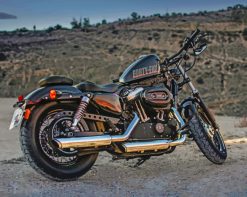 Harley Davidson Forty Eight paint by numbers