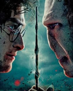 Harry Potter And Lord Voldemort paint by numbers