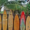 Hawaii Surfboard paint by numbers