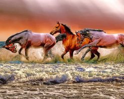 Herd Of Horses In Water paint by number