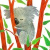 Illustration Of Baby Koala paint by numbers