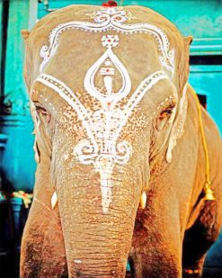 Indian Elephant paint by numbers