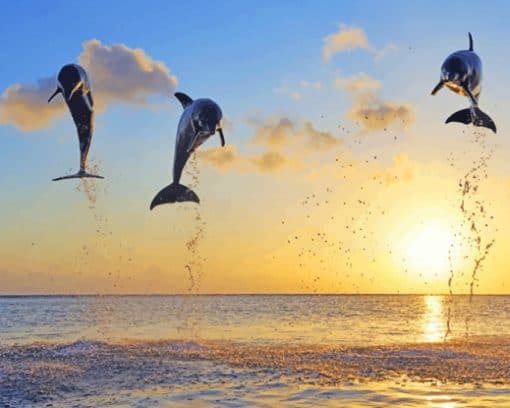 Jumping Dolphins At Sunset paint by number