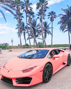 Pink Lamborghini paint by numbers