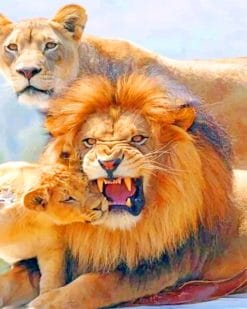 Lion Family paint by numbers