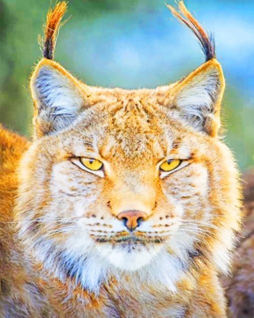 Lynx paint by numbers