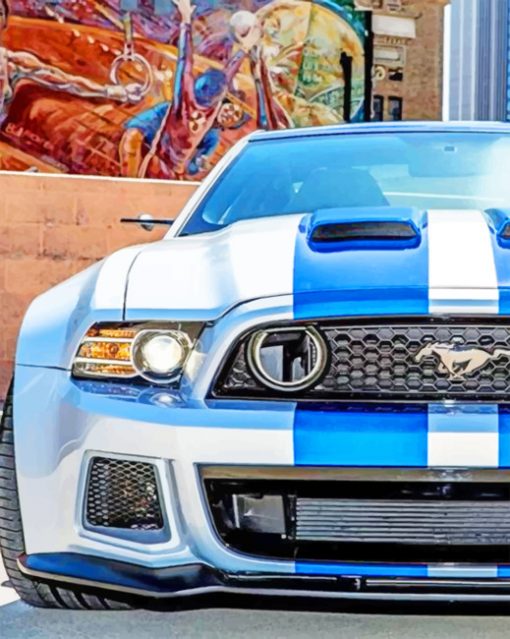 Mustang Shelby GT500 paint by numbers