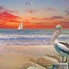 Pelican Birds Beach paint by number