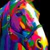 Pop Art Horse paint by numbers