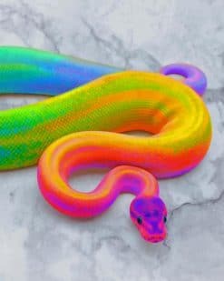 Rainbow Snake paint by numbers