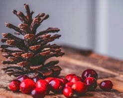 Red Coffee Beans On Wooden Table paint by numbers