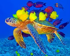 Sea Turtle With Fishes paint by number