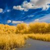 Golden Fields With Puffy Clouds paint by number