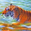 Tiger In Water paint by number