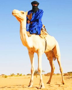 Tuareg On Camel In Desert paint by numbers