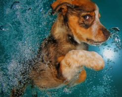 Underwater Puppy paint by number