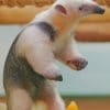 Cute Anteater paint by numbers