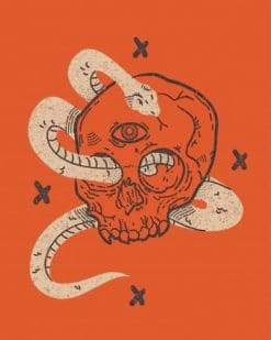 Vintage Skull Illustration paint by numbers