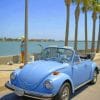 Volkswagen Beetle paint by numbers