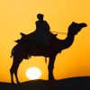 Woman Riding A Camel Silhouette paint by numbers