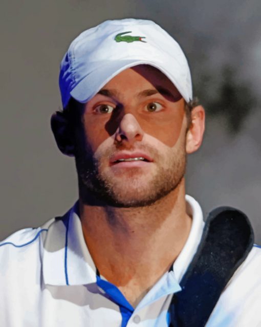 Andy Roddick paint by numbers