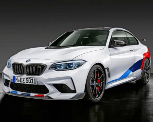 BMW M2 Paint by numbers